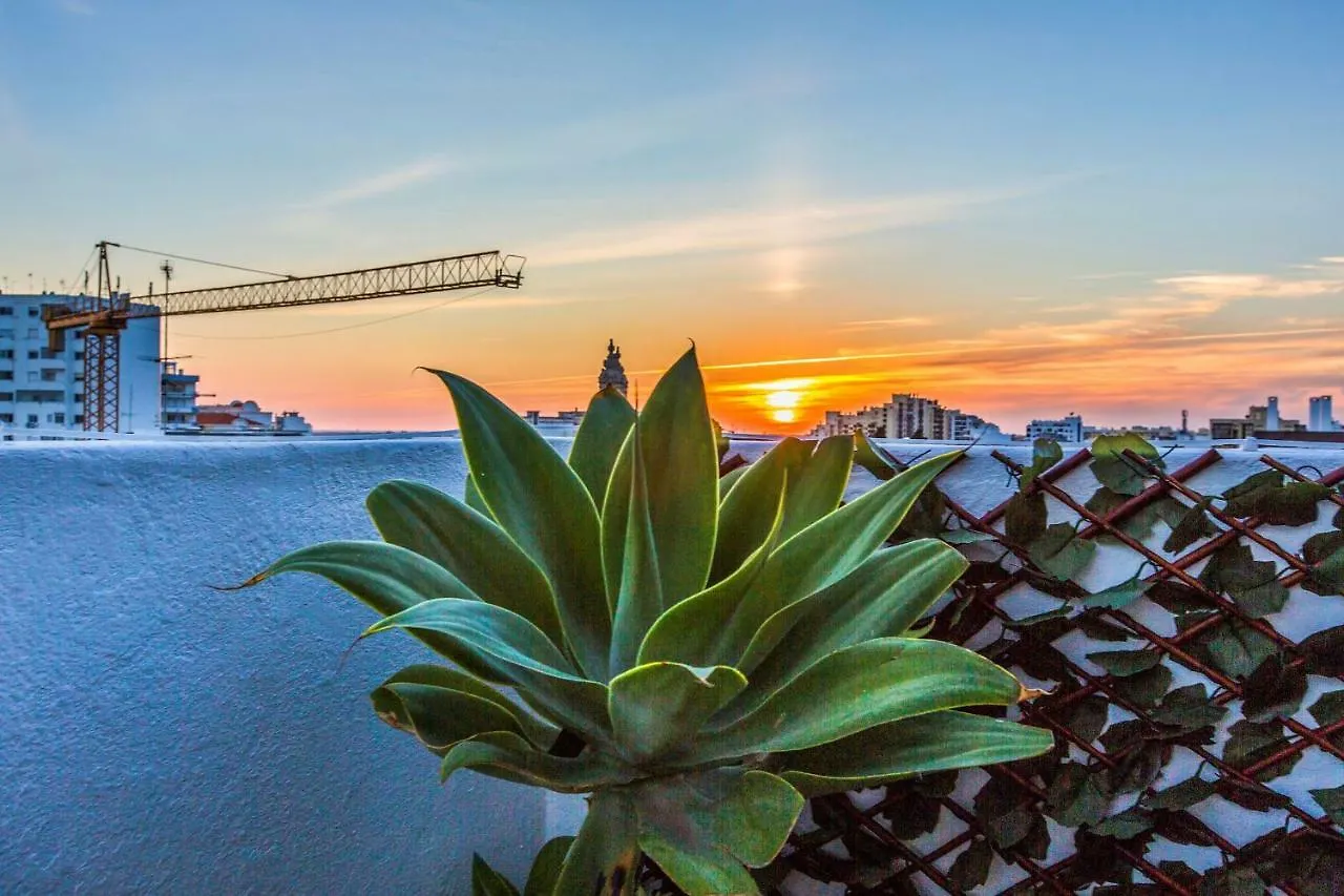 Maria Rita Faro Rooftop Apartment Portugal